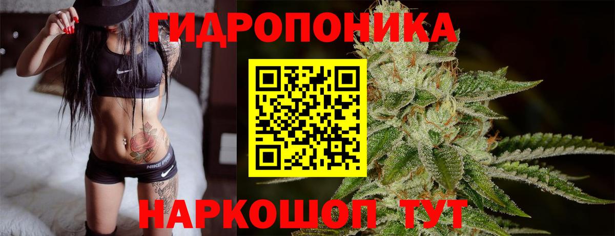 Канабис OG Kush Домодедово